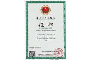 Safety production standardization certificate